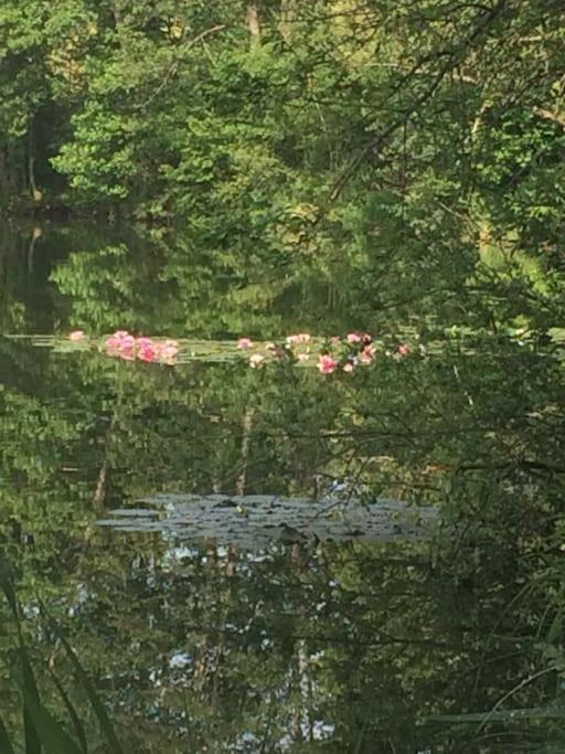 Chiemgau-Loft Zwischen Seenzauber Und Gipfelglueck Riedering Buitenkant foto